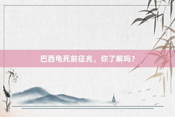 巴西龟死前征兆，你了解吗？