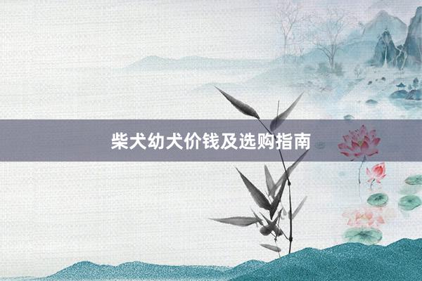 柴犬幼犬价钱及选购指南